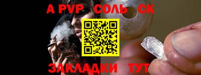 шишки Камышлов