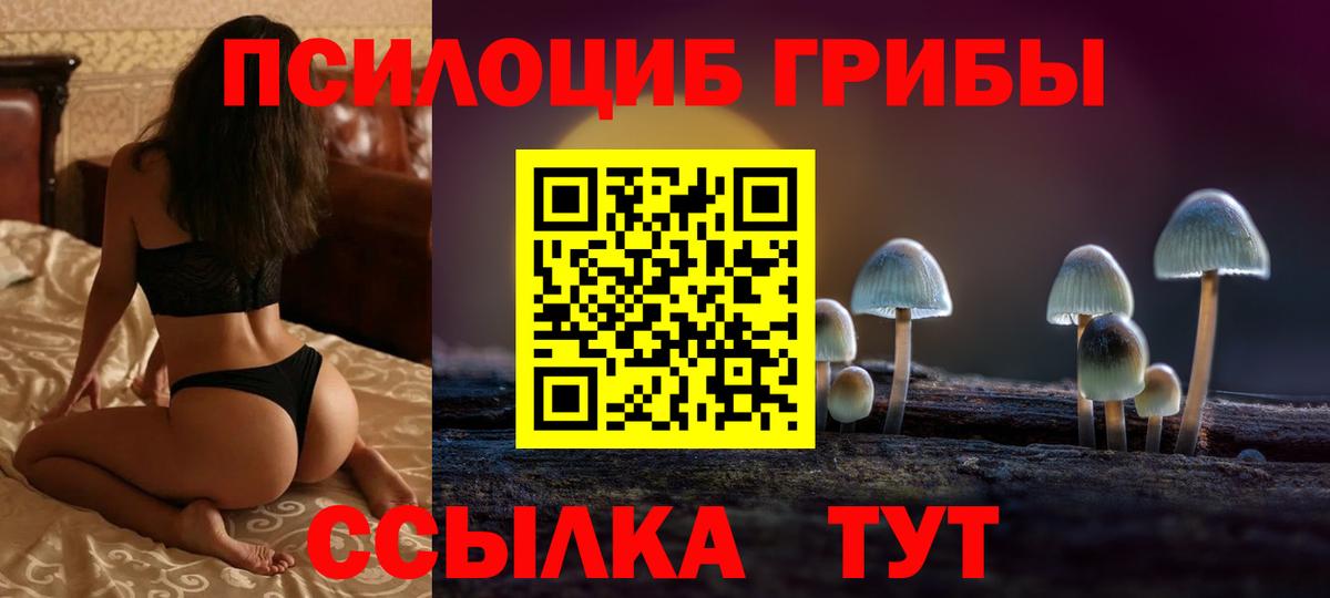 Лабинск  Псилоцибиновые грибы Psilocybe  Вход с VPN 